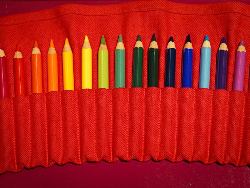 Organizador interior para mochila